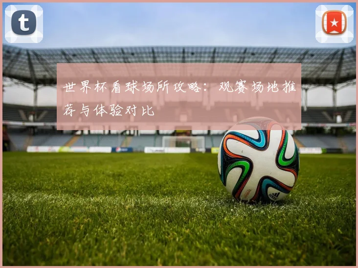 世界杯看球场所攻略：观赛场地推荐与体验对比