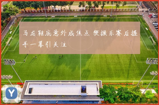 马龙鞋底意外成焦点 樊振东赛后握手一幕引关注