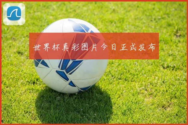 世界杯真彩图片今日正式发布