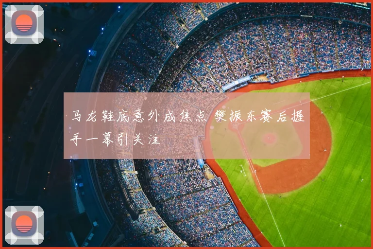 马龙鞋底意外成焦点 樊振东赛后握手一幕引关注